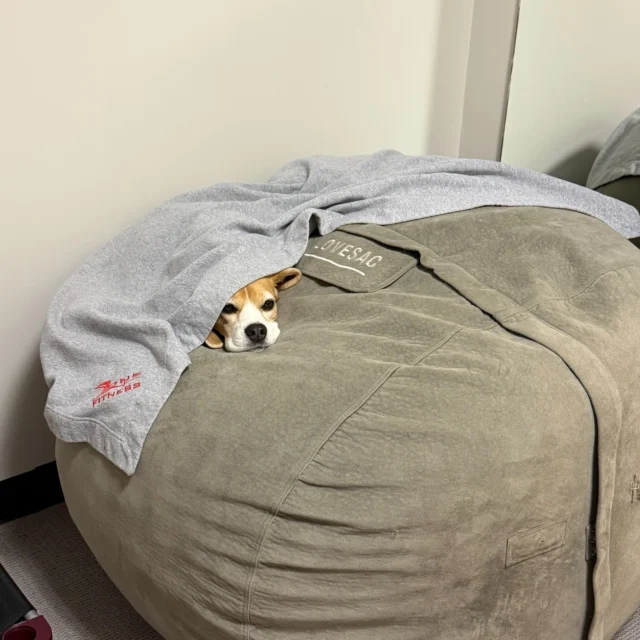 Saturday mood according to Winni ☔️🐶

Apparently, the official workout plan today is:
✔️ stay under the Zone Fitness blanket
✔️ avoid responsibilities
✔️ pretend cardio doesn’t exist

Honestly… fair.

BUT since everyone always asks about these blankets…
maybe it’s time for a little giveaway 👀

Would anyone want one?!

Comment on this post: "I NEED A ZONE BLANKET." to be entered into the drawing for the 3 we have left.