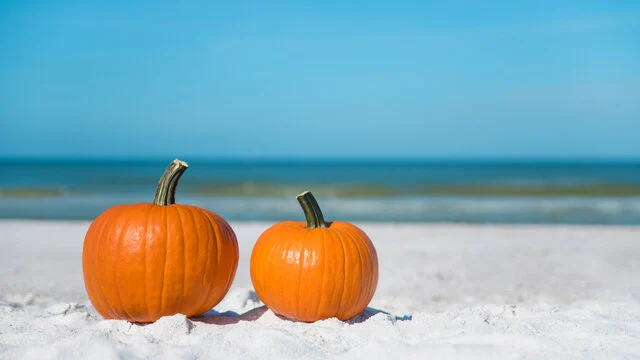 Apparently, Pumpkin Spice is back today. 🎃☕️

Are we emotionally prepared for fall? Absolutely not. 😂

But while we may not be ready for sweaters, falling leaves and everything pumpkin… this is a pretty good time to start thinking about getting back into a consistent fall fitness routine.

September always gets busy. Starting now—even with just a couple of workouts each week—can make that transition feel much easier.

You enjoy the Pumpkin Spice. We’ll help with the squats. 💪🎃

📍 Private 1:1 Personal Training in Chelmsford
📩 Message us to learn more!